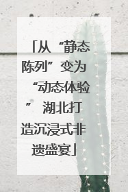 从“静态陈列”变为“动态体验” 湖北打造沉浸式非遗盛宴