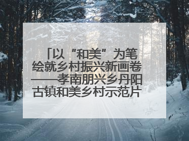 以“和美”为笔 绘就乡村振兴新画卷——孝南朋兴乡丹阳古镇和美乡村示范片区建设综述