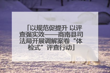 以规范促提升 以评查强实效——商南县司法局开展调解案卷“体检式”评查行动
