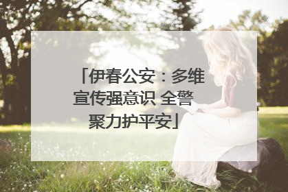 伊春公安：多维宣传强意识 全警聚力护平安
