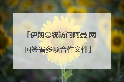 伊朗总统访问阿曼 两国签署多项合作文件