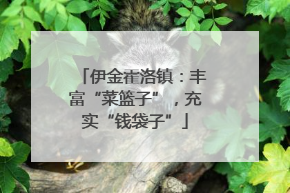 伊金霍洛镇：丰富“菜篮子”，充实“钱袋子”