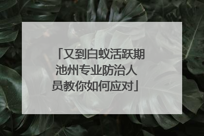 又到白蚁活跃期 池州专业防治人员教你如何应对