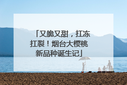 又脆又甜，扛冻扛裂！烟台大樱桃新品种诞生记