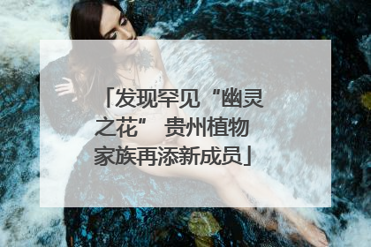 发现罕见“幽灵之花” 贵州植物家族再添新成员