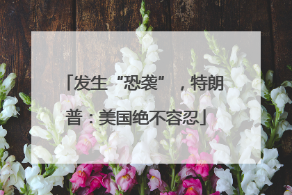 发生“恐袭”，特朗普：美国绝不容忍