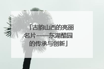 古韵山西的亮丽名片——东湖醋园的传承与创新