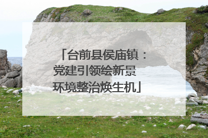 台前县侯庙镇：党建引领绘新景 环境整治焕生机