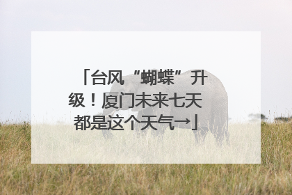 台风“蝴蝶”升级！厦门未来七天都是这个天气→