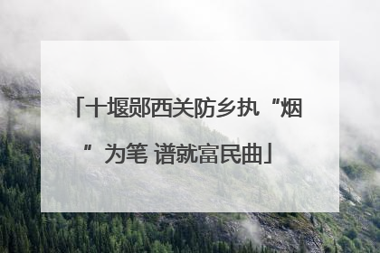 十堰郧西关防乡执“烟”为笔 谱就富民曲