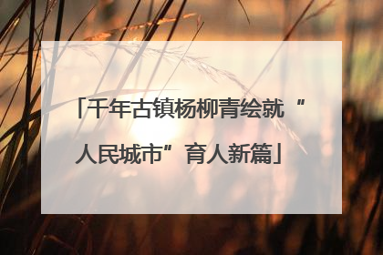 千年古镇杨柳青绘就“人民城市”育人新篇