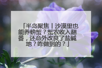 半岛聚焦丨沙漠里也能养螃蟹？蟹农收入翻番，还意外改良了盐碱地？咋做到的？