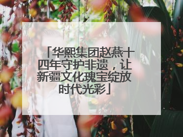 华熙集团赵燕十四年守护非遗，让新疆文化瑰宝绽放时代光彩