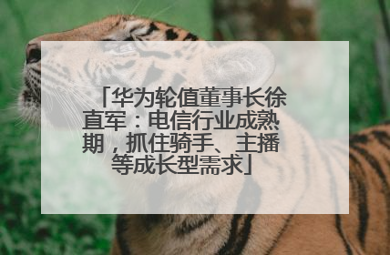 华为轮值董事长徐直军：电信行业成熟期，抓住骑手、主播等成长型需求