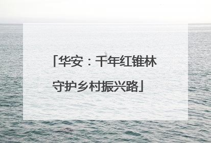 华安：千年红锥林守护乡村振兴路