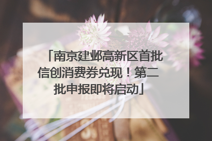 南京建邺高新区首批信创消费券兑现！第二批申报即将启动