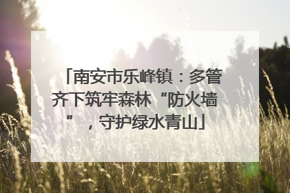南安市乐峰镇：多管齐下筑牢森林“防火墙”，守护绿水青山