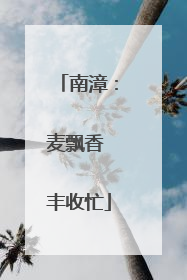 南漳：麦飘香 丰收忙