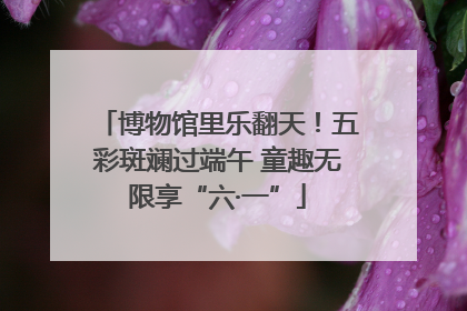 博物馆里乐翻天！五彩斑斓过端午 童趣无限享“六·一”