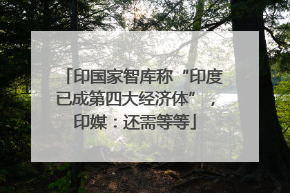 印国家智库称“印度已成第四大经济体”，印媒：还需等等