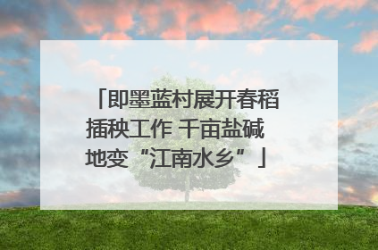 即墨蓝村展开春稻插秧工作 千亩盐碱地变“江南水乡”