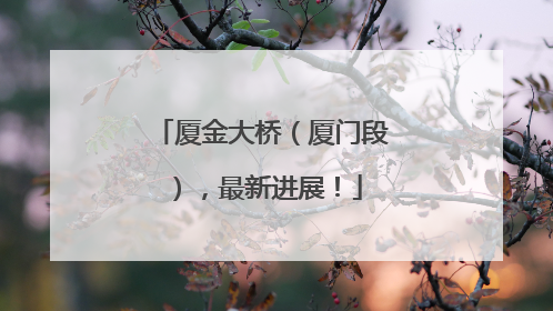 厦金大桥（厦门段），最新进展！