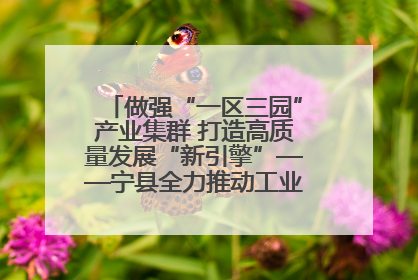 做强“一区三园”产业集群 打造高质量发展“新引擎”——宁县全力推动工业经济提质增效