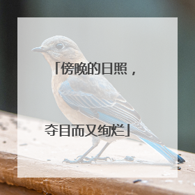 傍晚的日照，夺目而又绚烂