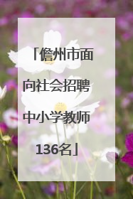 儋州市面向社会招聘中小学教师136名