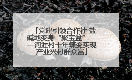 党建引领合作社 盐碱地变身“聚宝盆”——河涯村十年蝶变实现产业兴村群众富