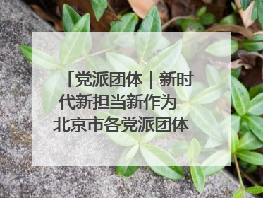党派团体｜新时代新担当新作为 北京市各党派团体这么干！
