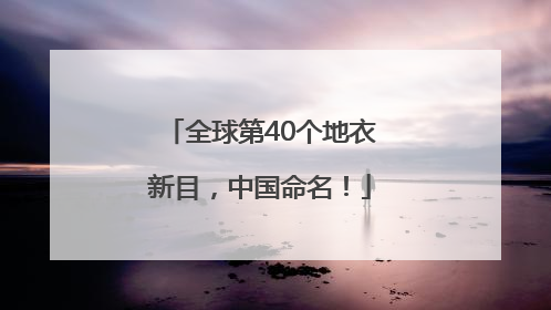 全球第40个地衣新目，中国命名！