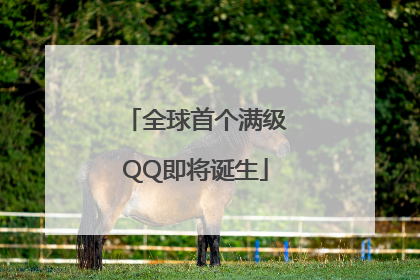 全球首个满级QQ即将诞生