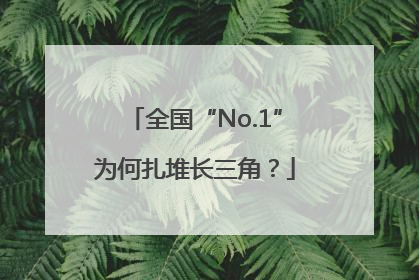 全国“No.1”为何扎堆长三角？