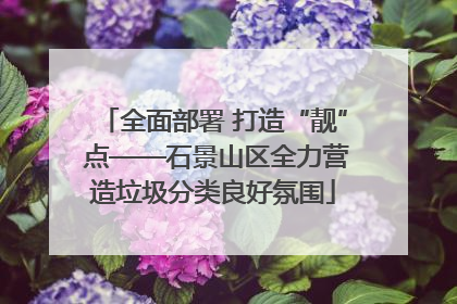 全面部署 打造“靓” 点——石景山区全力营造垃圾分类良好氛围