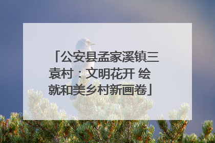 公安县孟家溪镇三袁村：文明花开 绘就和美乡村新画卷