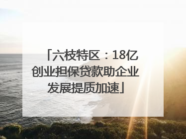 六枝特区：18亿创业担保贷款助企业发展提质加速