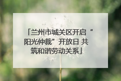 兰州市城关区开启“阳光仲裁”开放日 共筑和谐劳动关系