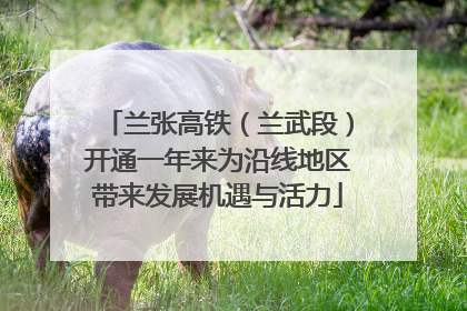 兰张高铁（兰武段）开通一年来为沿线地区带来发展机遇与活力