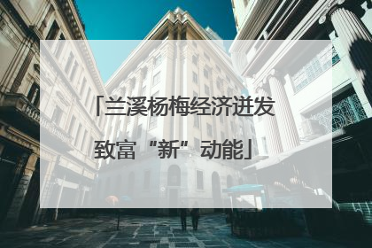 兰溪杨梅经济迸发致富“新”动能