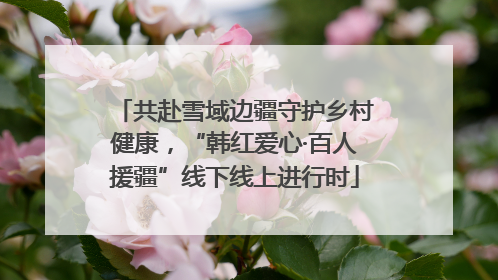 共赴雪域边疆守护乡村健康，“韩红爱心·百人援疆”线下线上进行时