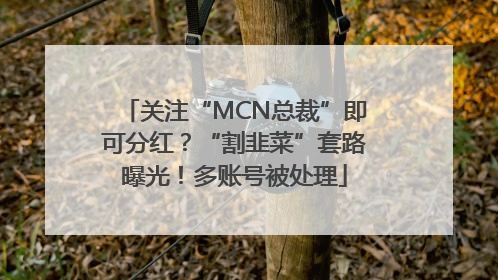 关注“MCN总裁”即可分红？“割韭菜”套路曝光！多账号被处理