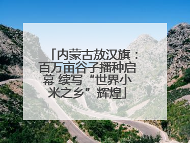 内蒙古敖汉旗：百万亩谷子播种启幕 续写“世界小米之乡”辉煌