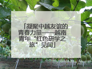 凝聚中越友谊的青春力量——越南青年“红色研学之旅”见闻
