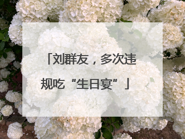 刘群友，多次违规吃“生日宴”