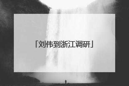刘伟到浙江调研