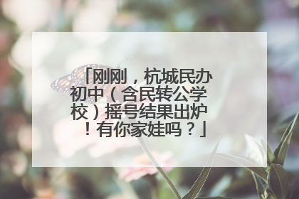刚刚，杭城民办初中（含民转公学校）摇号结果出炉！有你家娃吗？