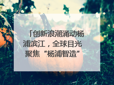 创新浪潮涌动杨浦滨江，全球目光聚焦“杨浦智造”｜相约复兴岛