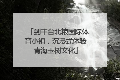到丰台北粮国际体育小镇，沉浸式体验青海玉树文化