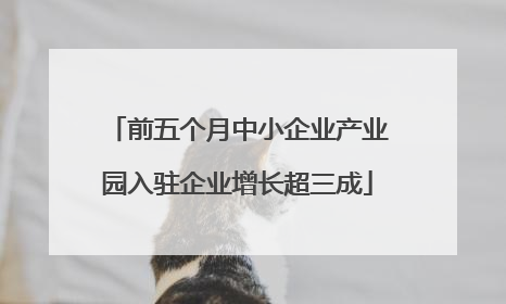 前五个月中小企业产业园入驻企业增长超三成